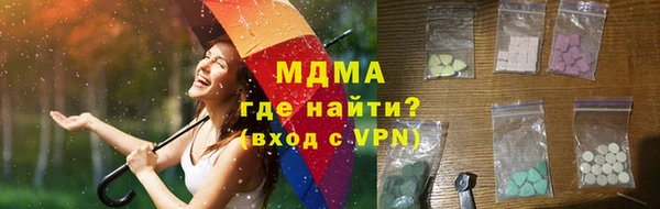 молекула духа Богданович