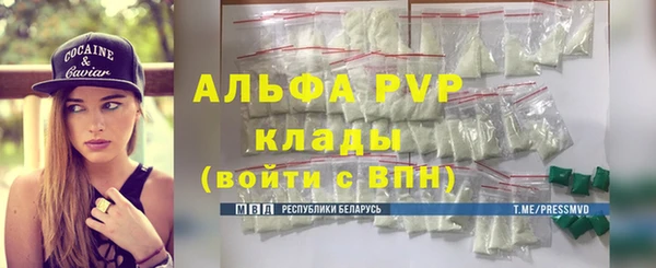 молекула духа Богданович