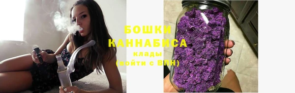молекула духа Богданович