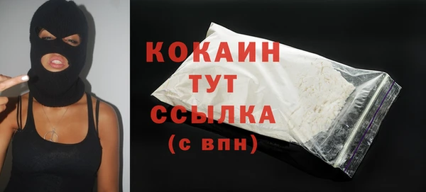 молекула духа Богданович