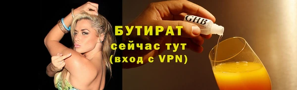 молекула духа Богданович