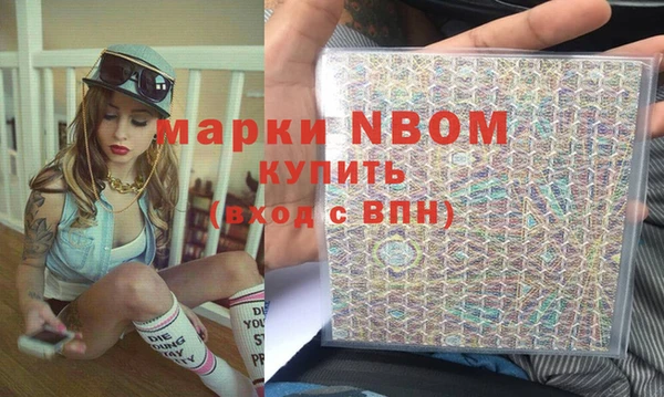 молекула духа Богданович