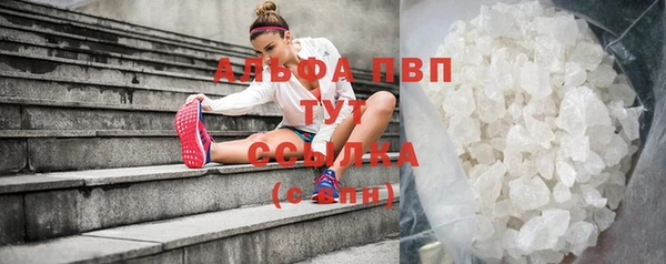 молекула духа Богданович