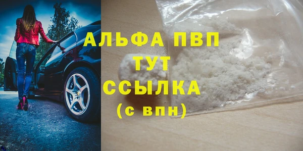 молекула духа Богданович