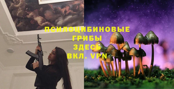 Альфа ПВП Богородицк