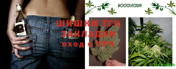 молекула духа Богданович