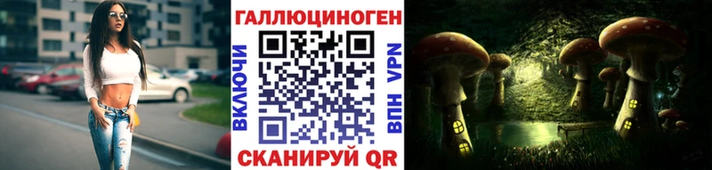 Купить где  Петров Вал  Галлюциногенные грибы GOLDEN TEACHER 