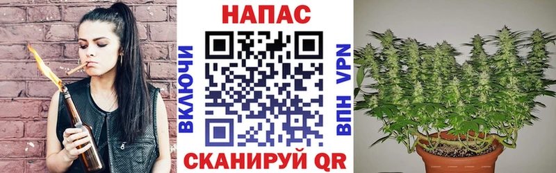Шишки марихуана ГИДРОПОН  Купить закладки  Петров Вал 